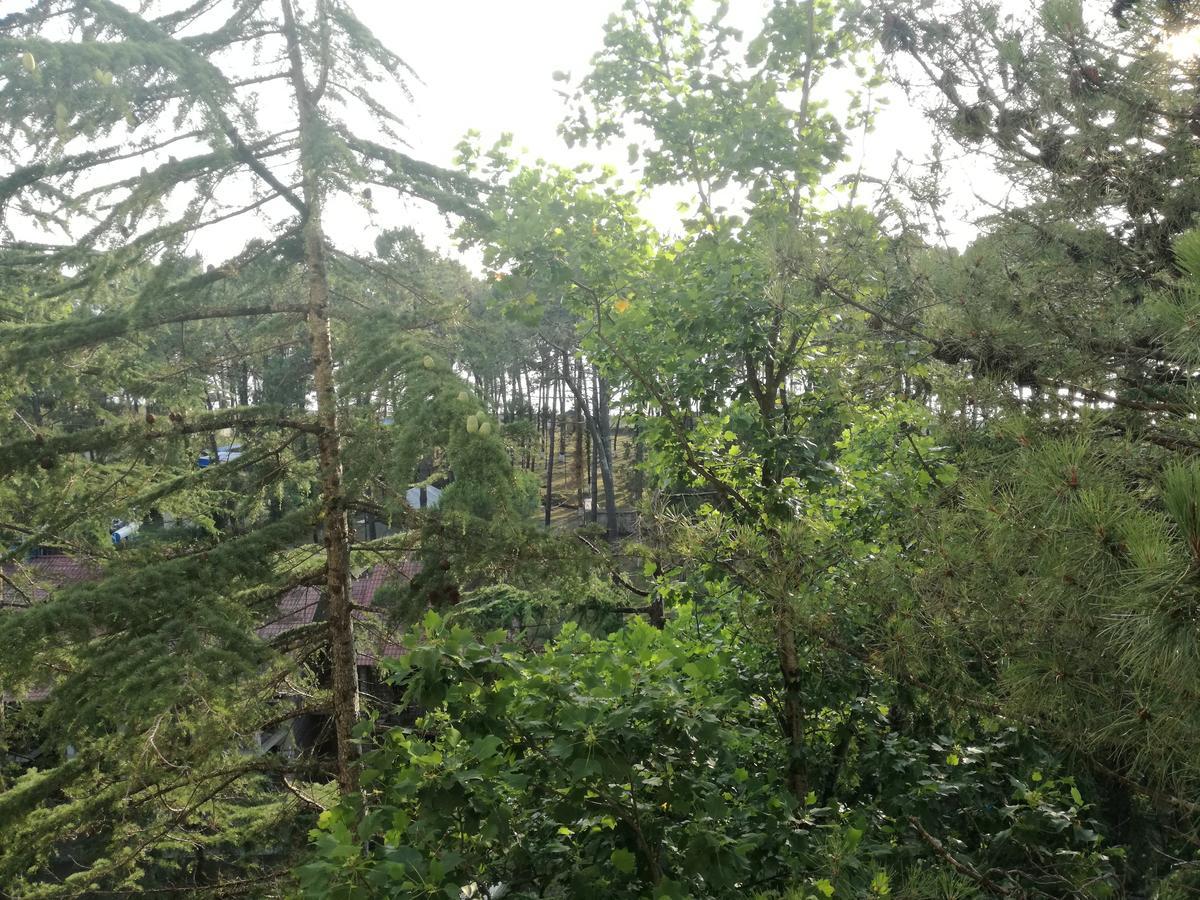 Studio Apartment With Great View Урекі Екстер'єр фото